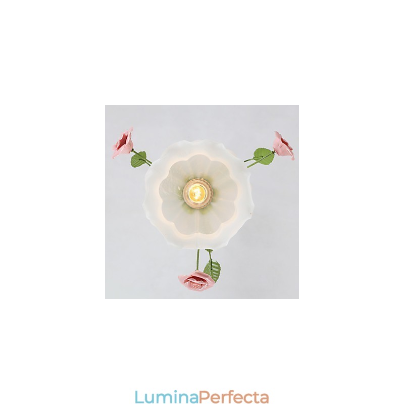 Florile și plantele de grădină de Ziua Îndrăgostiților Absorb Lumina Domului