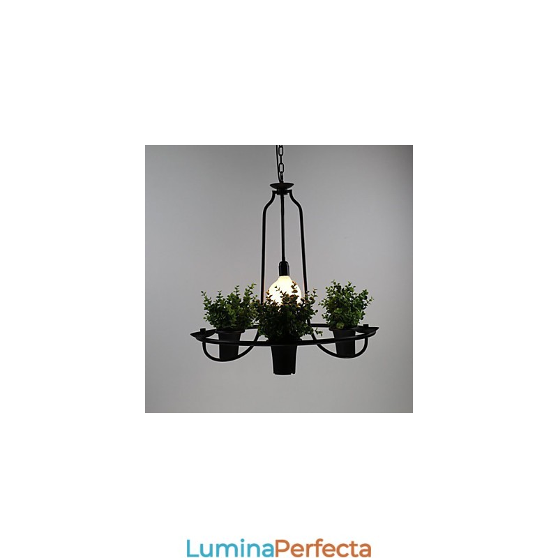 Flori de grădină mediteraneană Lumină