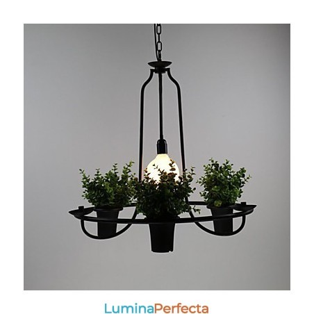 Flori de grădină mediteraneană Lumină Flori de grădină mediteraneană Lumină