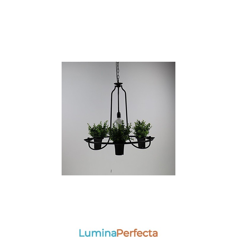 Flori de grădină mediteraneană Lumină