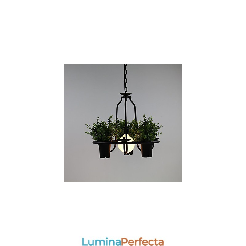 Flori de grădină mediteraneană Lumină