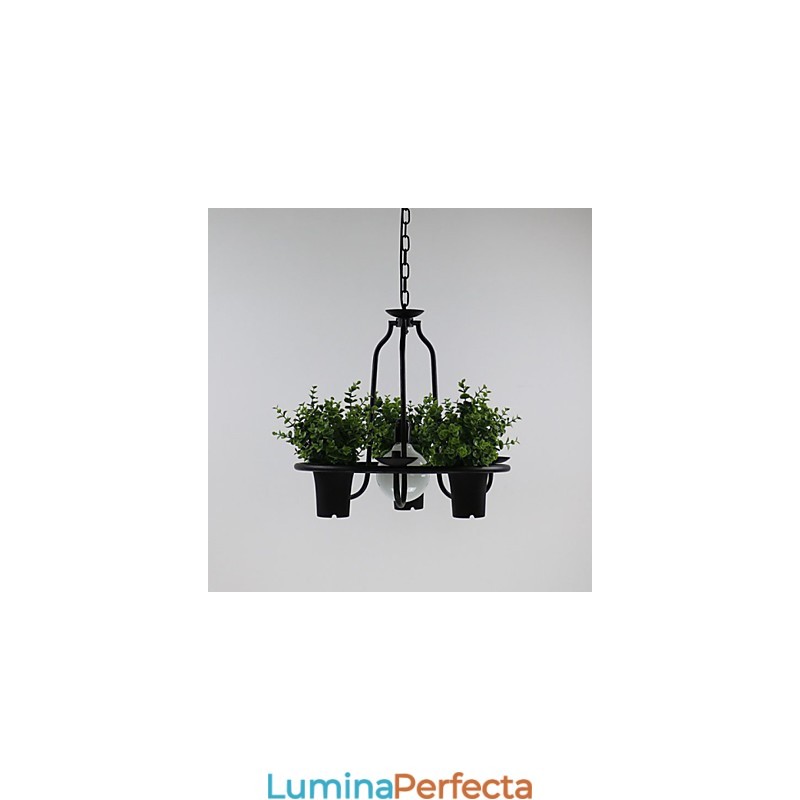 Flori de grădină mediteraneană Lumină