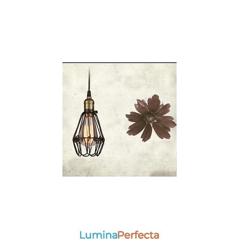 Lampe suspendate în stil rustic american de epocă, care restaurează moduri străvechi, lumina mică cușcă din fier forjat