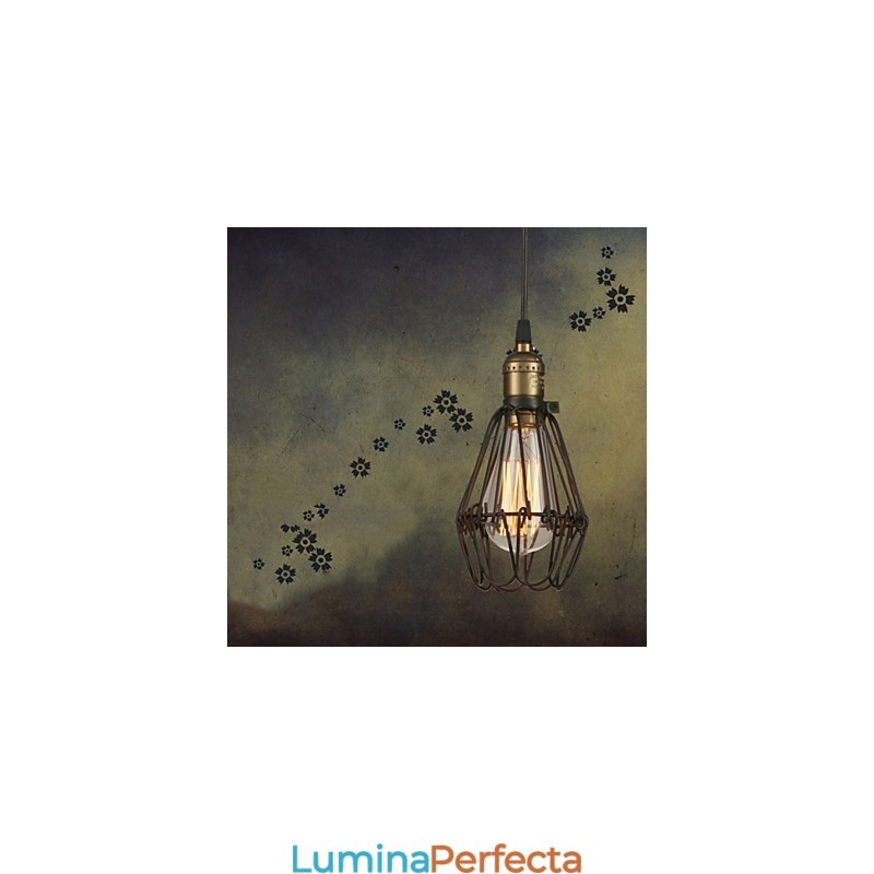 Lampe suspendate în stil rustic american de epocă, care restaurează moduri străvechi, lumina mică cușcă din fier forjat