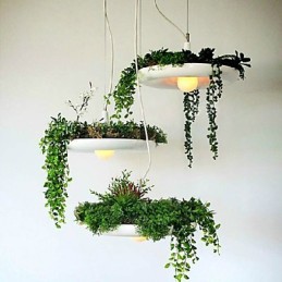 Droplight din aluminiu Nordic Creative Contractat Sky Garden Lamps And Lanterne Light No Soil Plant