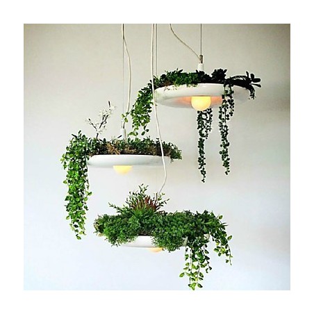 Droplight din aluminiu Nordic Creative Contractat Sky Garden Lamps And Lanterne Light No Soil Plant Droplight din aluminiu Nordic Creative Contractat Sky Garden Lamps And Lanterne Light No Soil Plant