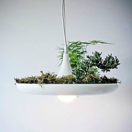 Droplight din aluminiu Nordic Creative Contractat Sky Garden Lamps And Lanterne Light No Soil Plant