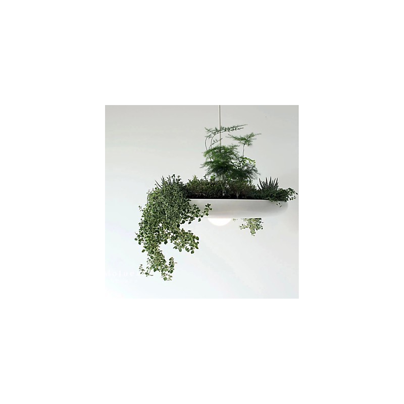 Droplight din aluminiu Nordic Creative Contractat Sky Garden Lamps And Lanterne Light No Soil Plant