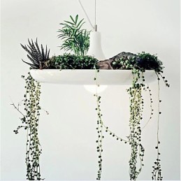 Droplight din aluminiu Nordic Creative Contractat Sky Garden Lamps And Lanterne Light No Soil Plant