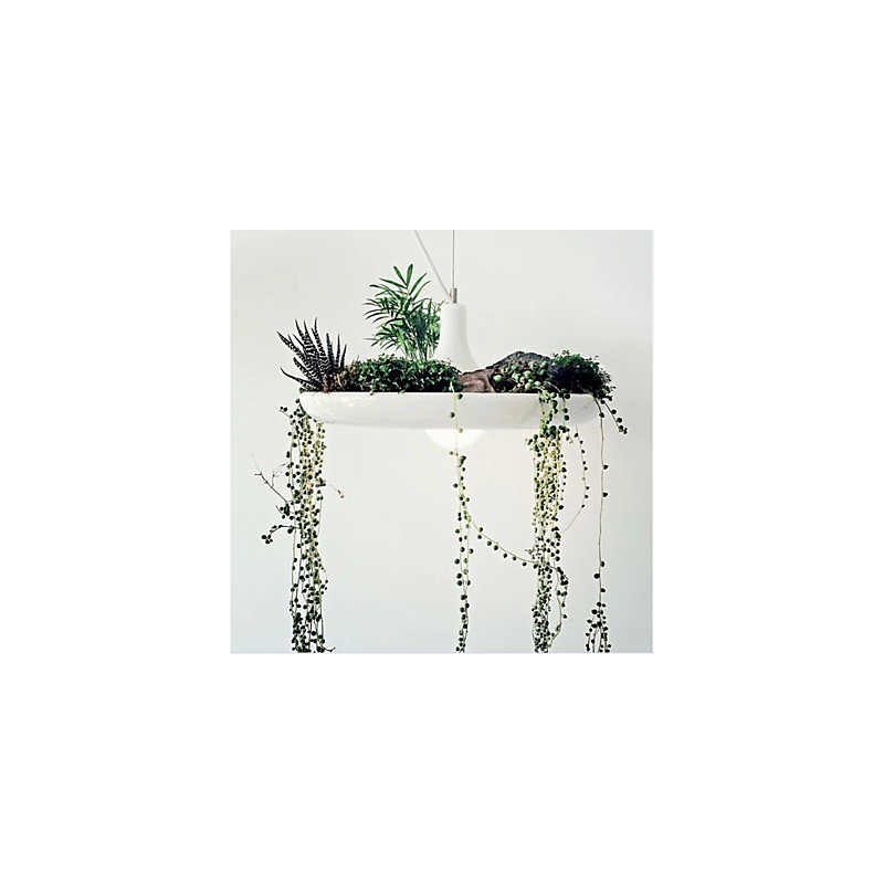 Droplight din aluminiu Nordic Creative Contractat Sky Garden Lamps And Lanterne Light No Soil Plant