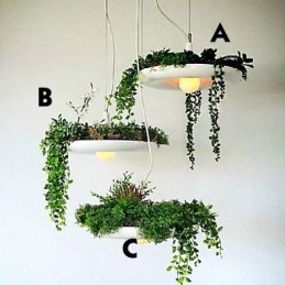 Droplight din aluminiu Nordic Creative Contractat Sky Garden Lamps And Lanterne Light No Soil Plant