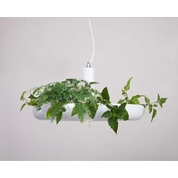 Familie de lumini suspendate cu design decorativ modern, alb pur, modern