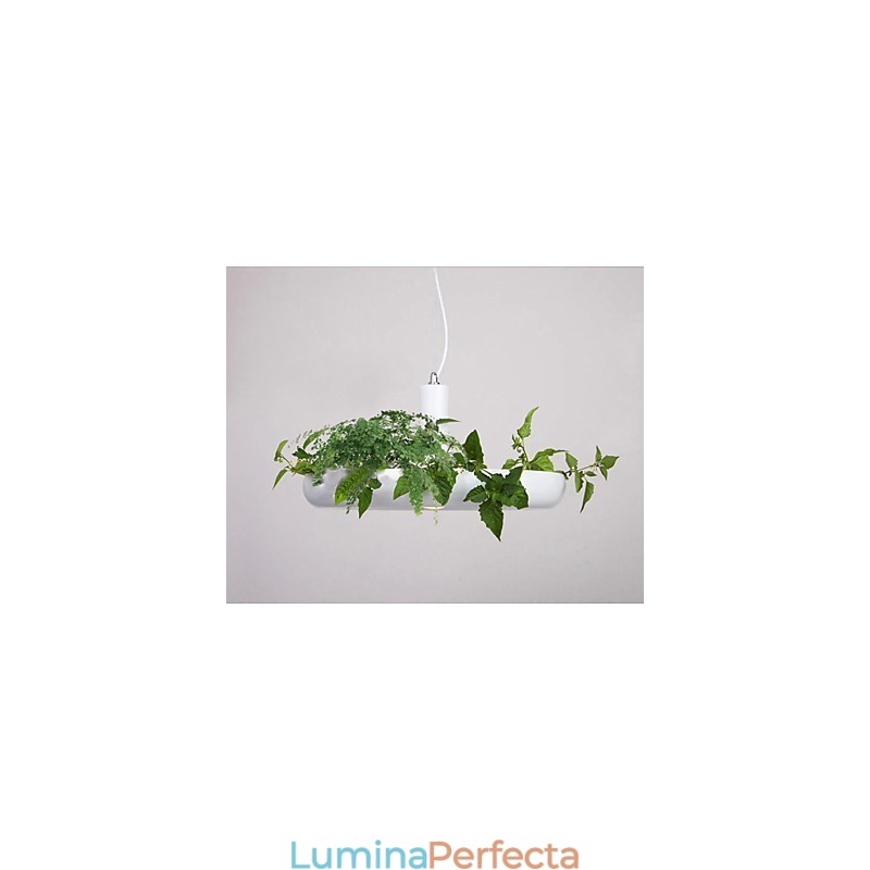 Familie de lumini suspendate cu design decorativ modern, alb pur, modern