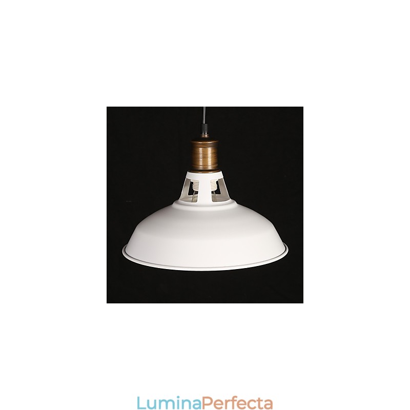 Stil rustic american, originalitate, cu un singur cap, din fier forjat