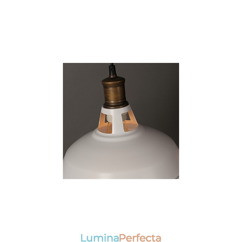 Stil rustic american, originalitate, cu un singur cap, din fier forjat
